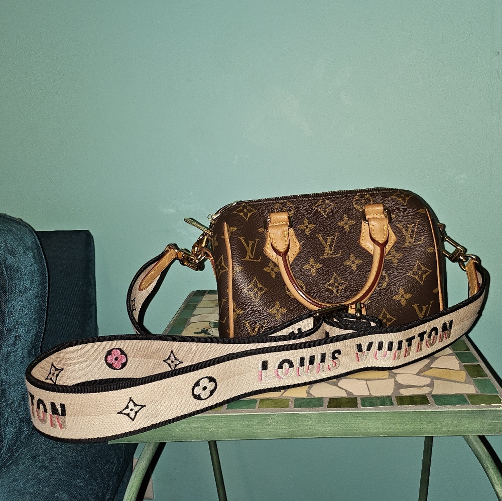 Louis Vuitton Speedy 20